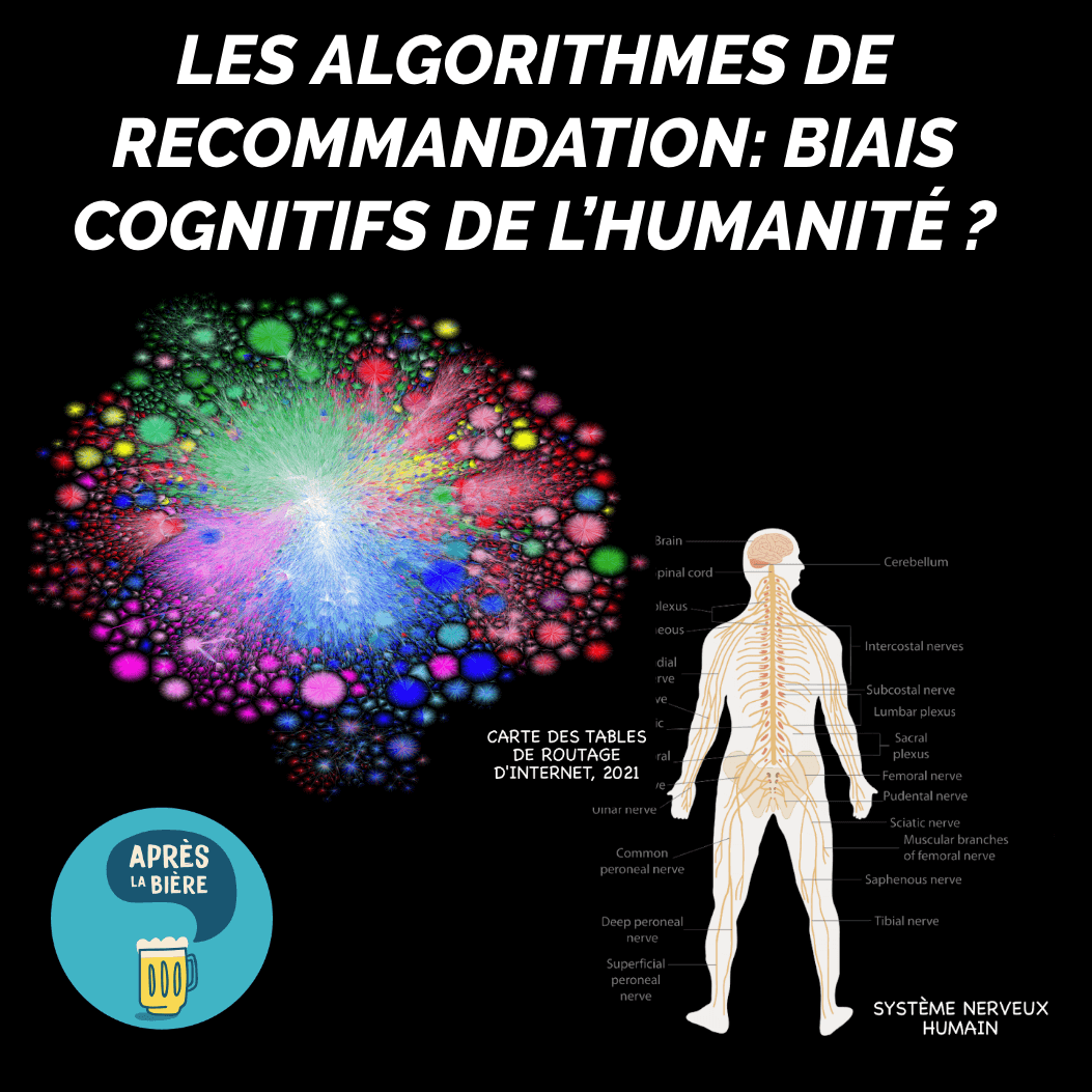 Les algorithmes de recommandation sont-ils à l’humanité ce que les biais cognitifs sont à l’individu ?